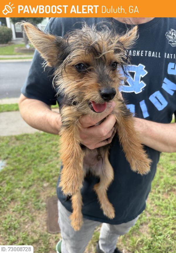 Found/Stray Male Dog last seen Breckingridge blvd & Excutive Drive in the Breckingridge section, Duluth, GA 30096