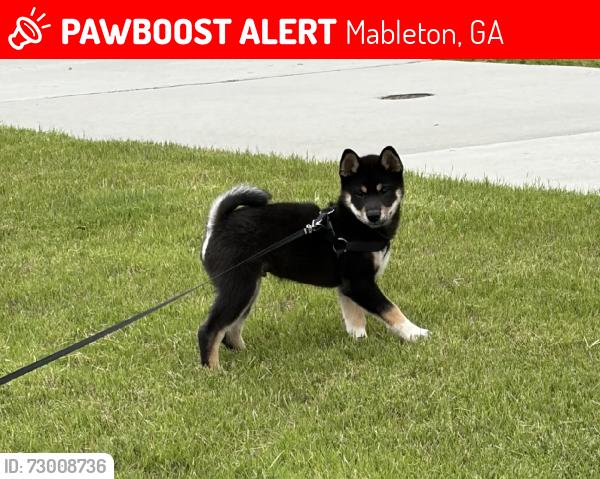 Lost Male Dog last seen Floyed rd, Mableton, GA 30126