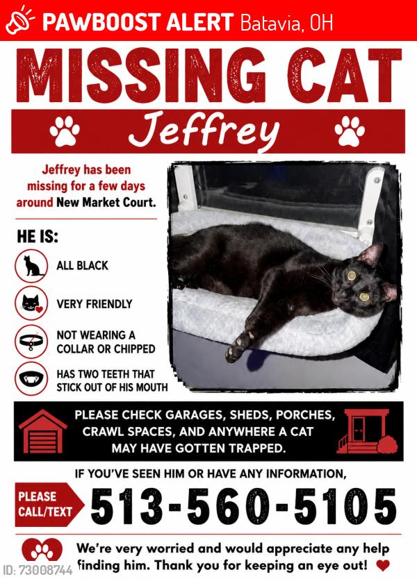 Lost Male Cat last seen Southridge Drive, Treeview Court, Northridge Drive, Batavia, OH 45103