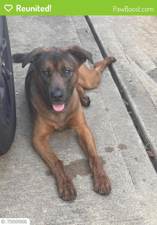 Reunited Male Dog last seen Fairfield, by the Houston Premium Outlets, Cypress, TX 77433