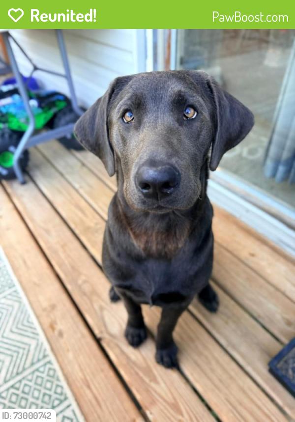 Reunited Female Dog last seen Blackhawk Rd. , Rockford, IL 61109