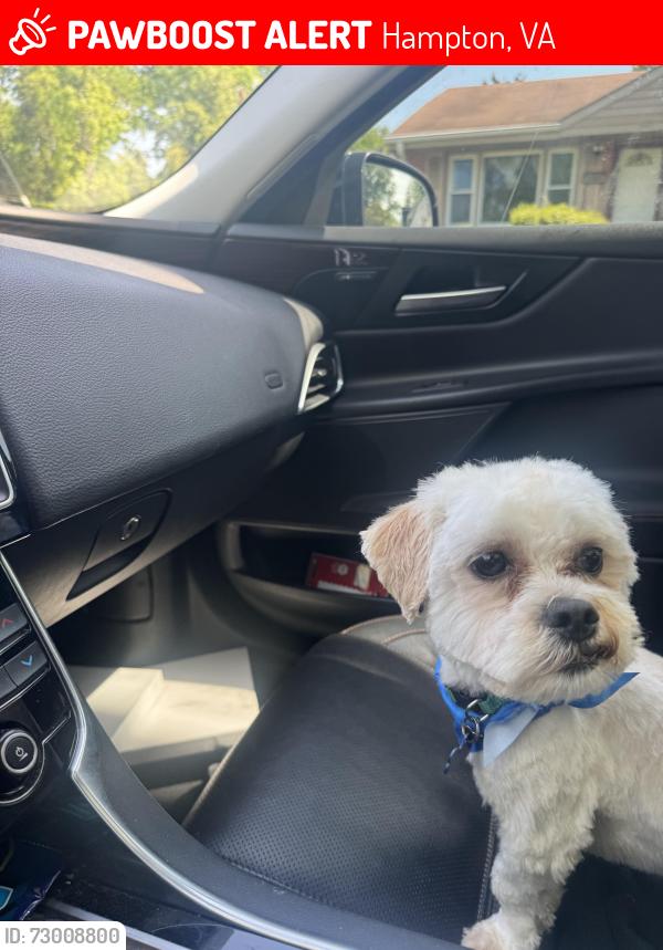 Lost Male Dog last seen Dolittle, Hampton, VA 23669