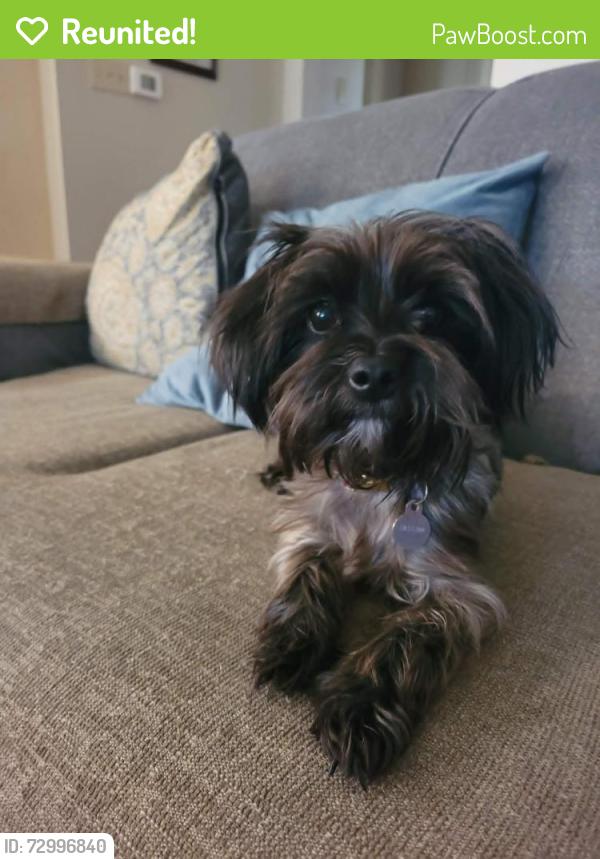 Reunited Female Dog last seen Near Hebert Road  Arnaudville, LA, Arnaudville, LA 70512