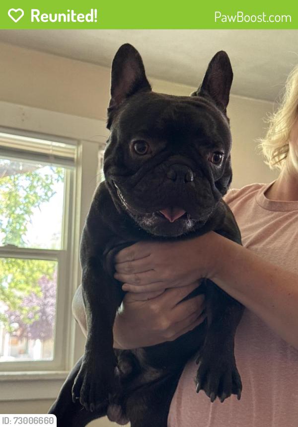 Reunited Male Dog last seen Timpanogos Elementary, Provo, UT 84601