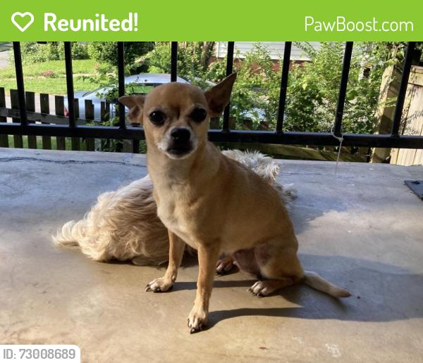 Reunited Female Dog last seen Dennison and Second Street (across Markham from School for the Deaf and Blind), Little Rock, AR 72205