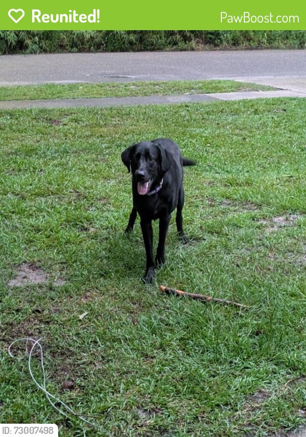Reunited Female Dog last seen Apt a, Ladson, SC 29456