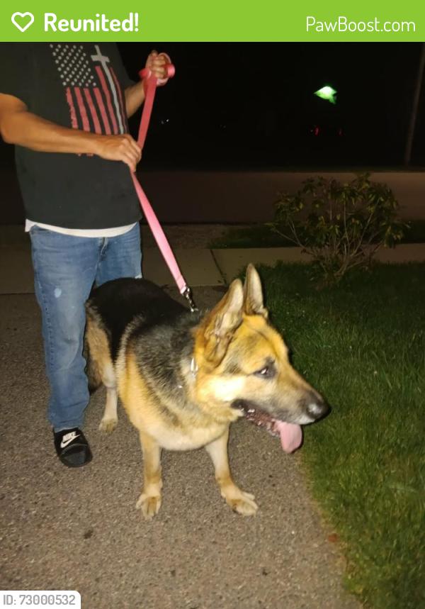 Reunited Male Dog last seen Patterson Rd and Courtland ave , Dayton, OH 45420