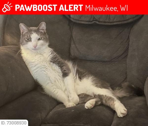Lost Male Cat last seen Uwm Milwaukee , Milwaukee, WI 53211