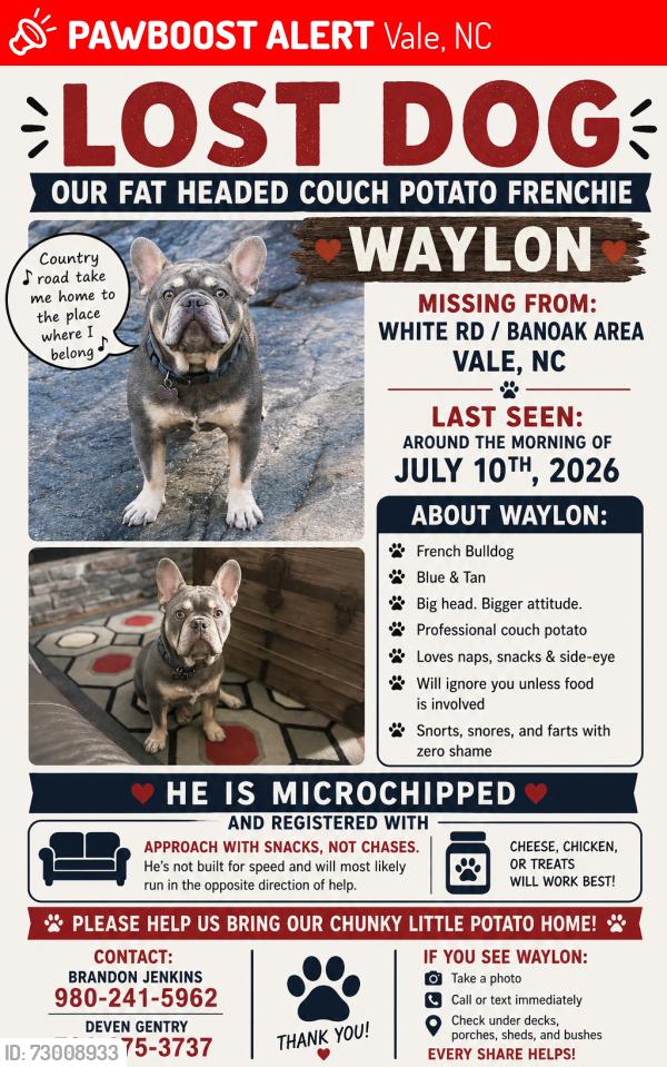 Lost Male Dog last seen Banoak rd, Vale, NC 28168