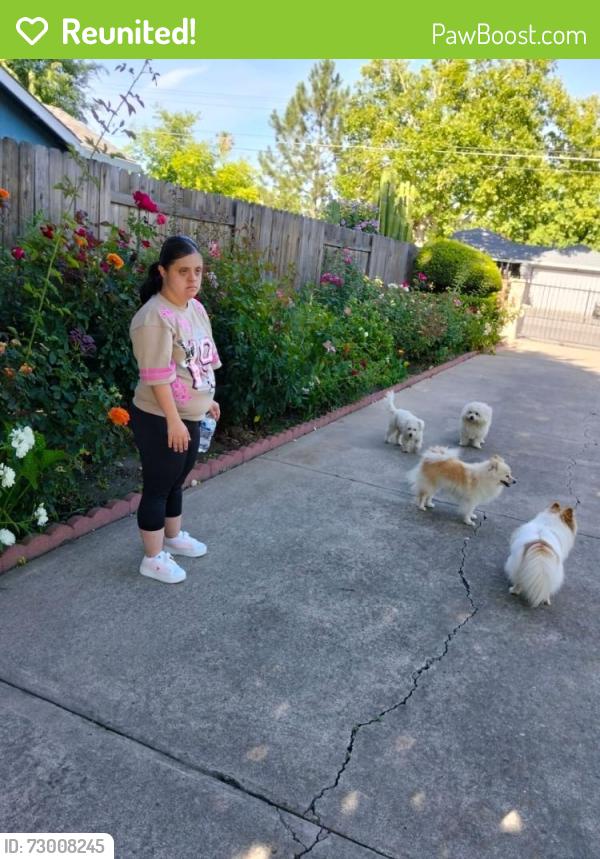 Reunited Male Dog last seen Martin Luther King Dr, Sacramento, CA 95820