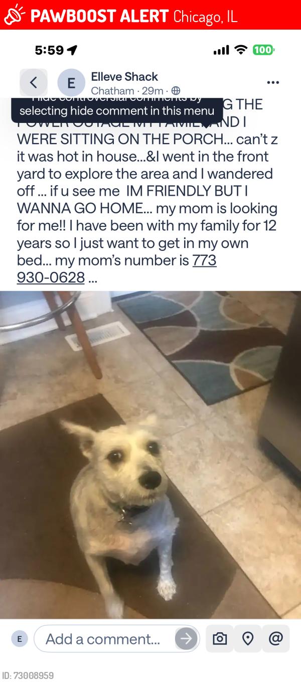 Lost Male Dog last seen Near Rhodes Ave near King Drive Avenue , Chicago, IL 60619