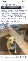 Lost Male Dog last seen Near Rhodes Ave near King Drive Avenue , Chicago, IL 60619