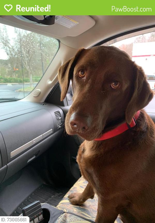 Reunited Female Dog last seen Christ Church Birmingham, Birmingham, AL 35244