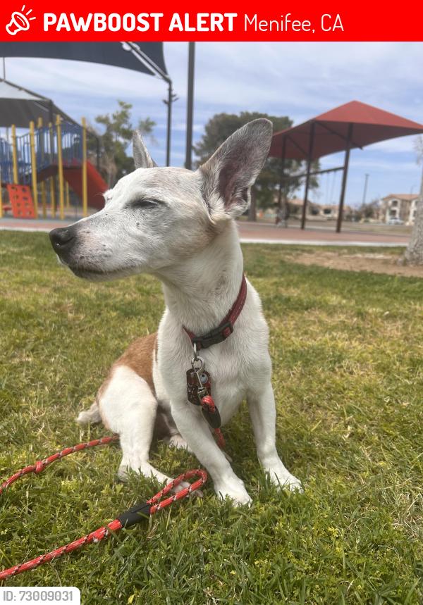 Lost Female Dog last seen Cherry Hills/marietta , Menifee, CA 92586