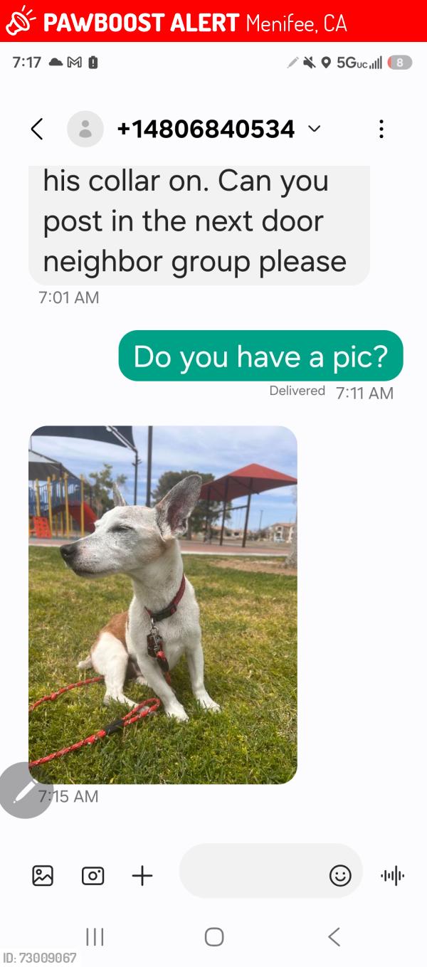 Lost Male Dog last seen Murrieta , Menifee, CA 92586