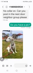 Lost Male Dog last seen Murrieta , Menifee, CA 92586