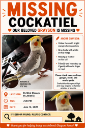 Lost Male Bird last seen Gary elementary school , West Chicago, IL 60185