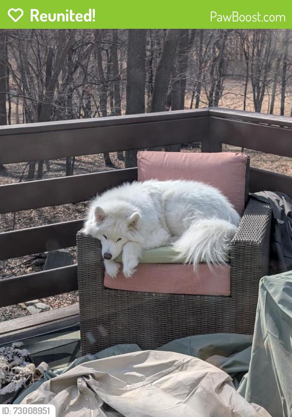 Reunited Female Dog last seen Wannigan Point Cabins, Taylors Falls, MN 55084