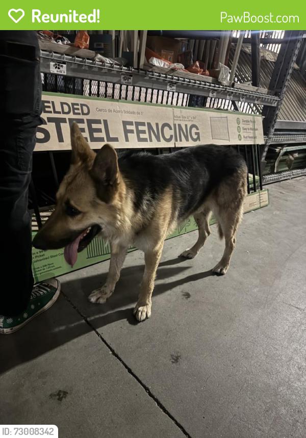 Reunited Male Dog last seen Near E Thomas Rd, Phoenix, AZ 85018, USA, Phoenix, AZ 85018