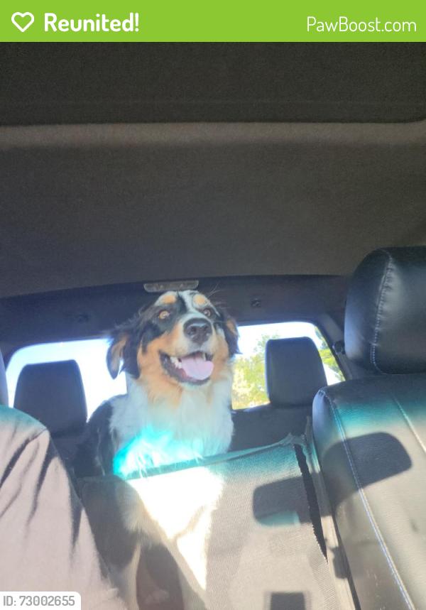 Reunited Male Dog last seen West haven elementary school , West Haven, UT 84401