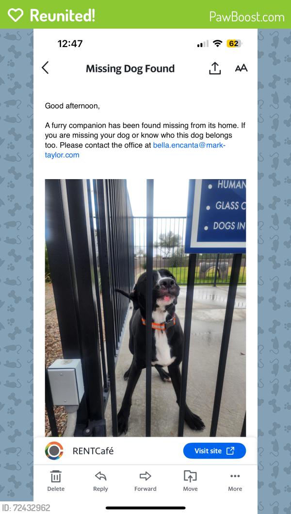 Reunited Unknown Dog last seen Near e Hampton Avenue, Mesa az 85209, Mesa, AZ 85209
