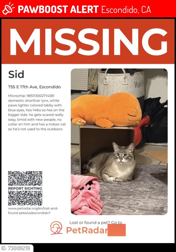 Lost Male Cat last seen Near E 17th Ave , Escondido, CA 92025