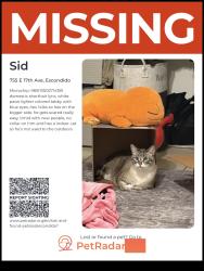 Lost Male Cat last seen Near E 17th Ave , Escondido, CA 92025