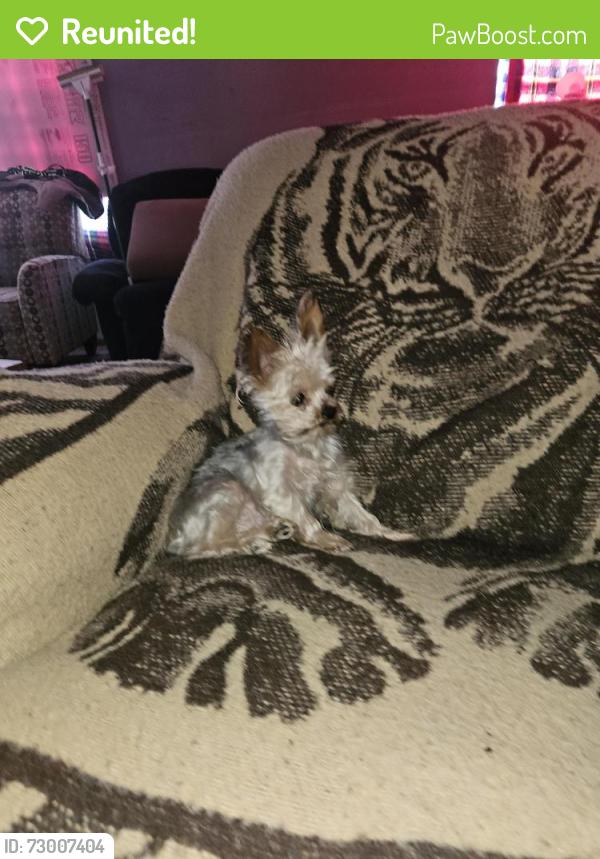 Reunited Female Dog last seen At home, Brook Park, MN 55007