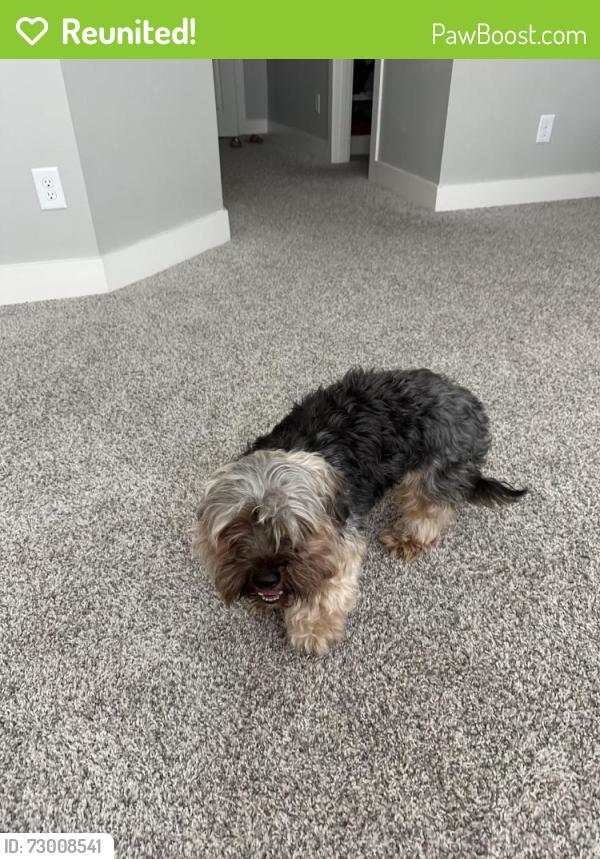 Reunited Male Dog last seen Auburn woods dr., Auburn, GA 30011