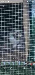 Lost Male Rabbit last seen Fitler st and Frankfurt street  corner area, Philadelphia, PA 19114