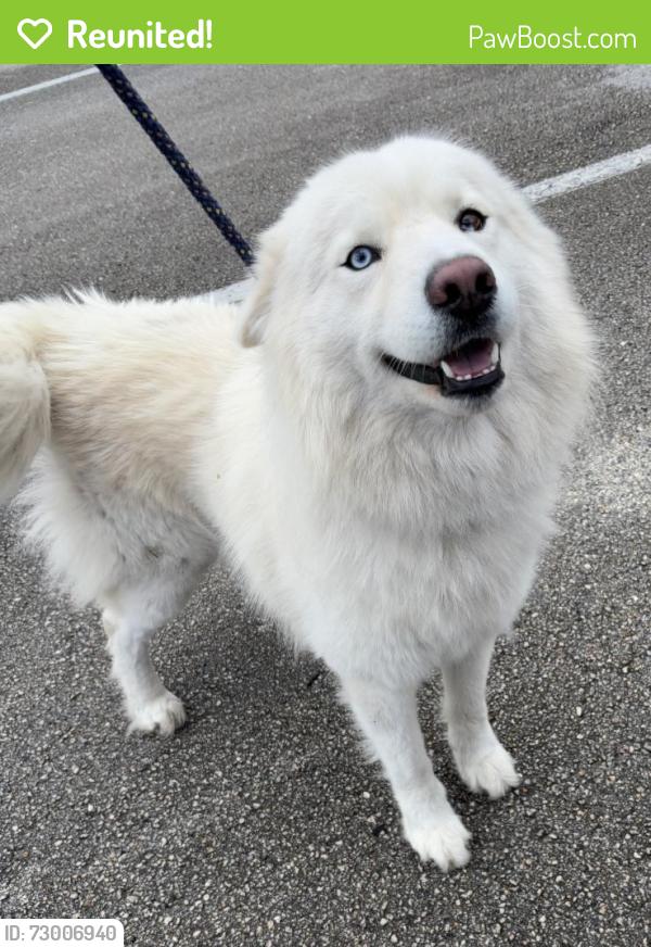 Reunited Unknown Dog last seen Port St. Lucie, Port St. Lucie, FL 34986