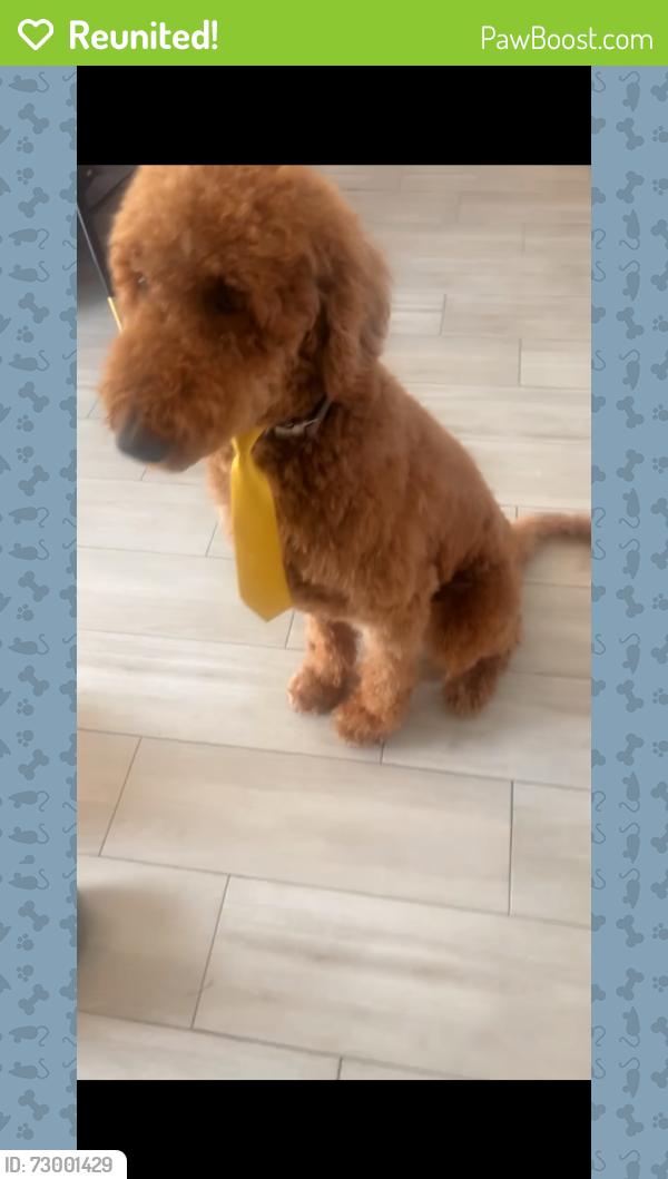 Reunited Male Dog last seen 14th st off Acacia , Lehigh Acres, FL 33972