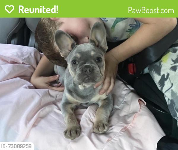 Reunited Male Dog last seen Dawn Dr, Riverside, CA 92505, USA, Riverside, CA 92505