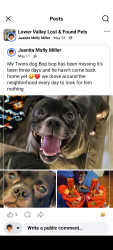 Lost Male Dog last seen Huli Cir Wapato Wa, Wapato, WA 98951