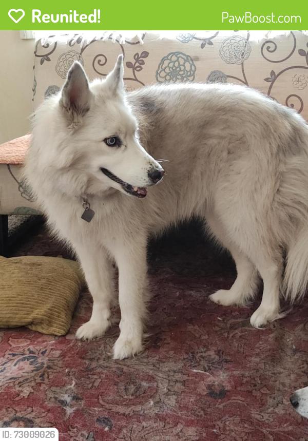 Reunited Male Dog last seen Near Cooper Rd, Wesley Chapel, FL 33545, USA, Wesley Chapel, FL 33545