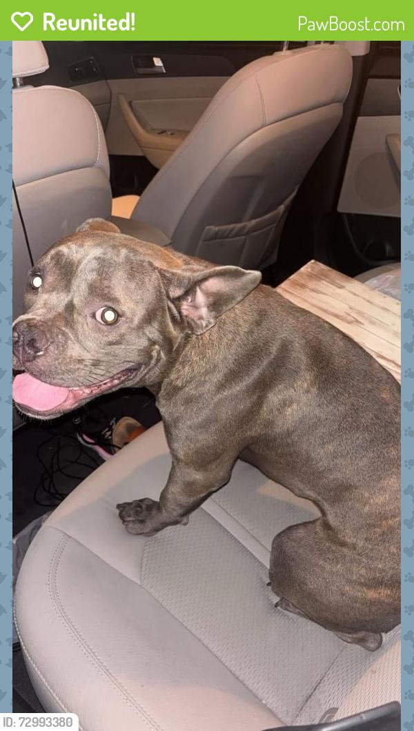 Reunited Unknown Dog last seen Stewart’s parking lot in Brazoria , Brazoria, TX 77422