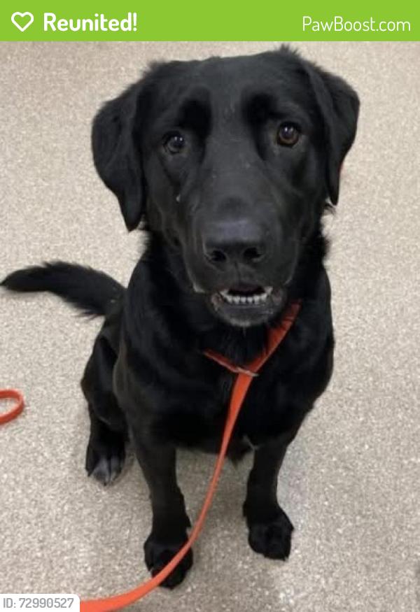 Reunited Male Dog last seen Near Fort AP Hill, Bowling Green, VA 22427