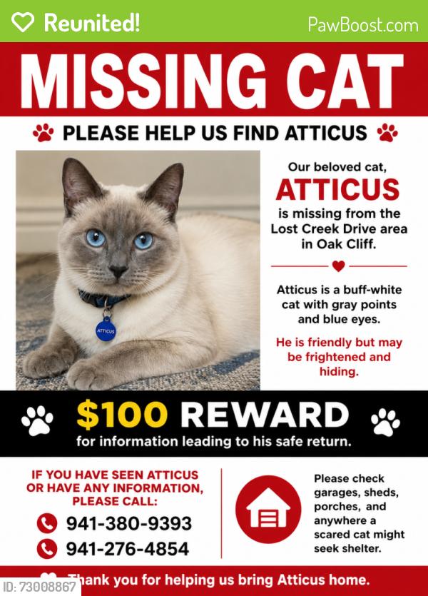 Reunited Male Cat last seen Lost Creek Drive, Dallas, TX 75224