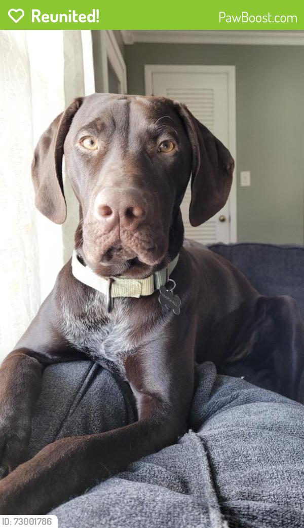 Reunited Male Dog last seen Lauren J, Yours Truly, 615, Mentor, OH 44060