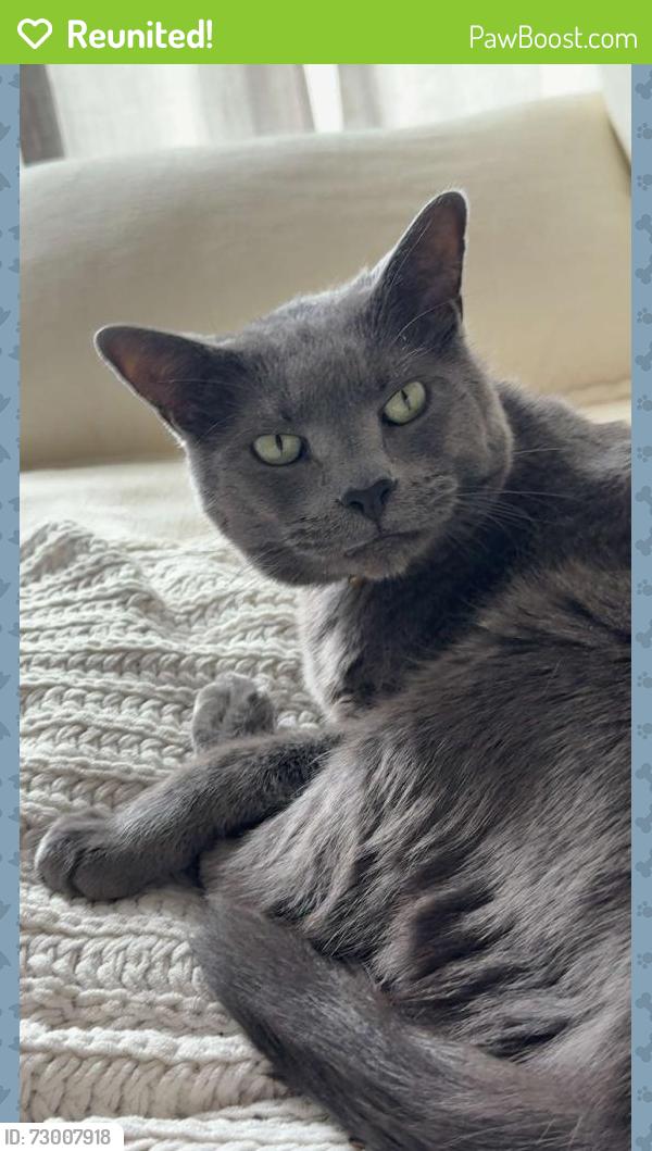 Reunited Male Cat last seen Last seen: Cantabria s (Cantabria Trail), near 1st Ave E, 48th St Ct E, and I-75 in Bradenton, FL 34208. Also near Blue Heron. , Bradenton, FL 34208