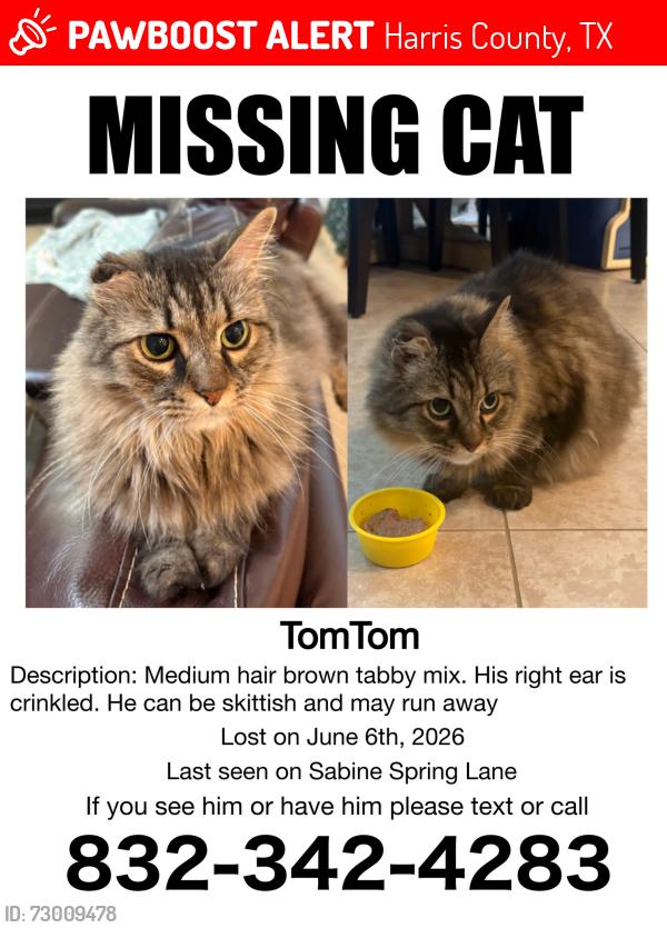 Lost Male Cat last seen Waterstone Subdivision , Harris County, TX 77449