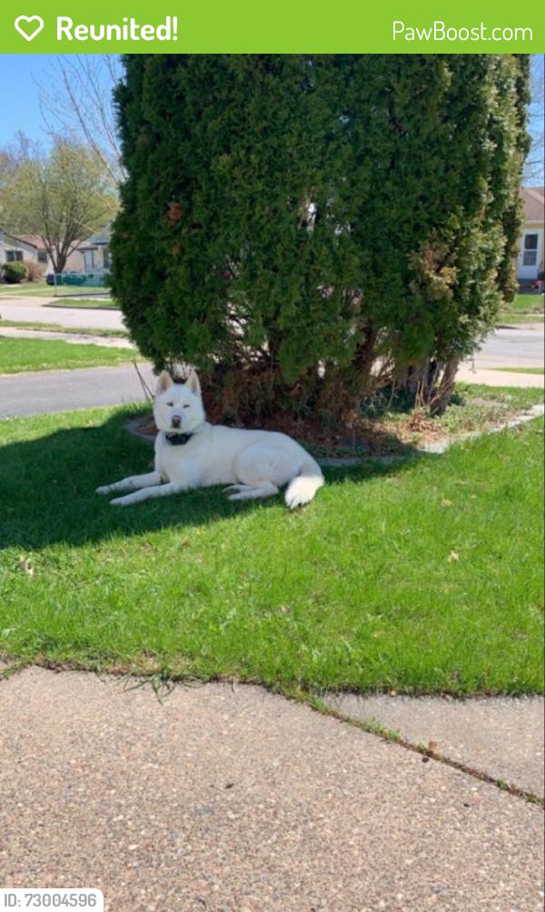 Reunited Female Dog last seen Case and Nokomis, Saint Paul, MN 55119