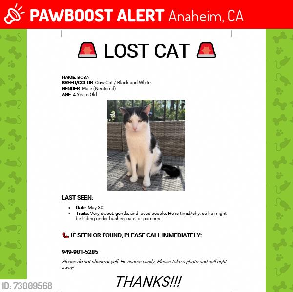 Lost Male Cat last seen Pelanconi park, Anaheim, CA 92807