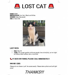 Lost Male Cat last seen Pelanconi park, Anaheim, CA 92807
