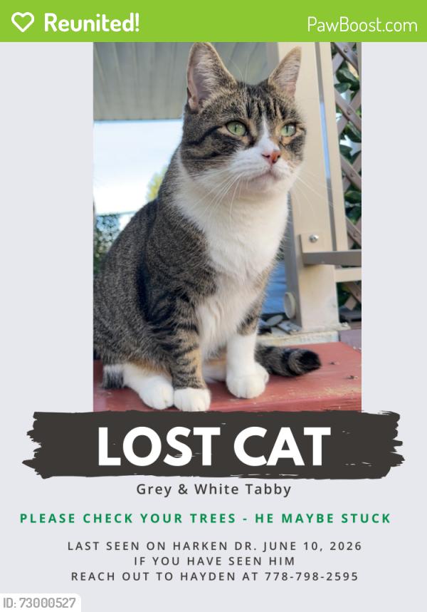 Reunited Male Cat last seen Harken Dr. & Beamish St., Burnaby, BC V5G