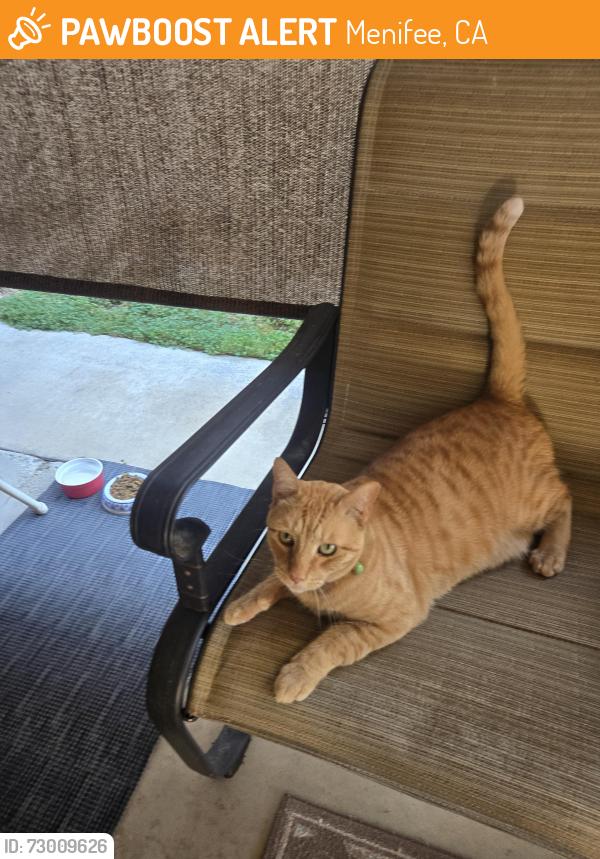 Found/Stray Unknown Cat last seen Foxfire St. and Sun City Blvd. Menifee, Menifee, CA 92586
