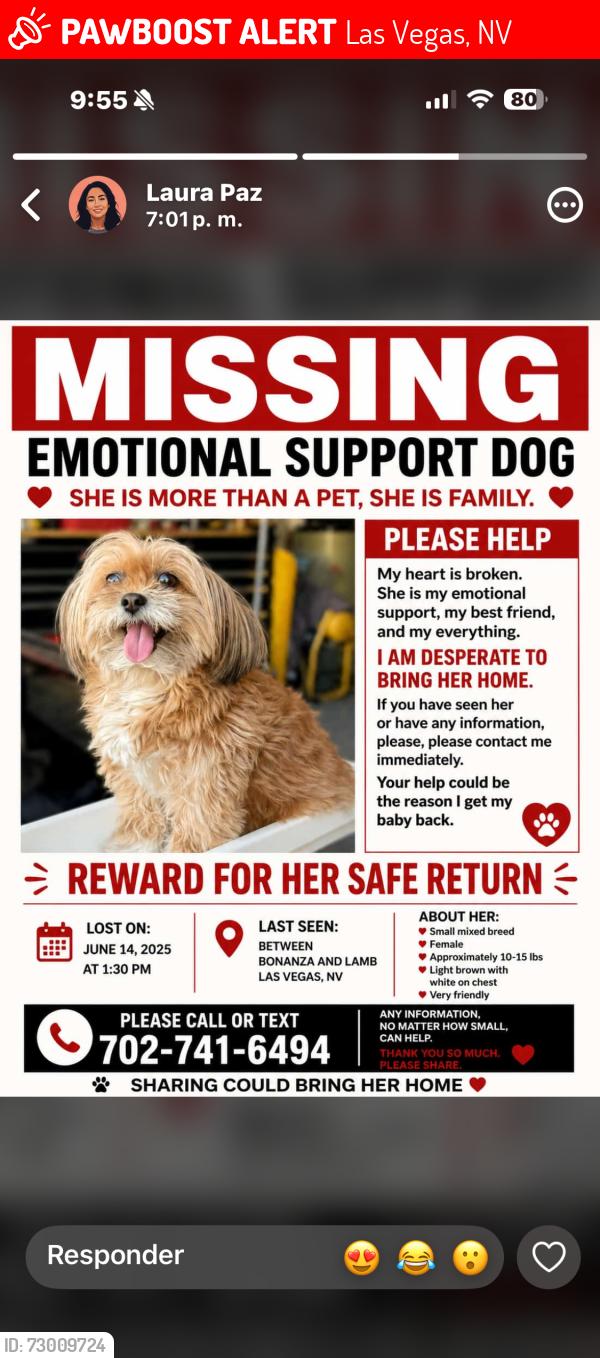 Lost Male Dog last seen Las vegas nv, Las Vegas, NV 89110