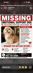 Lost Male Dog last seen Las vegas nv, Las Vegas, NV 89110