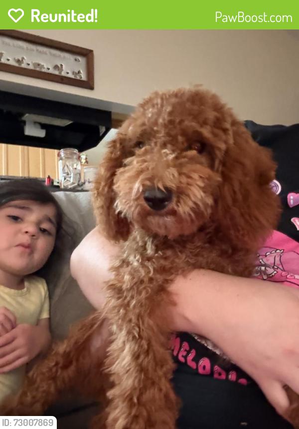 Reunited Male Dog last seen Cypressdale Dr, Texas, USA, Harris County, TX 77388