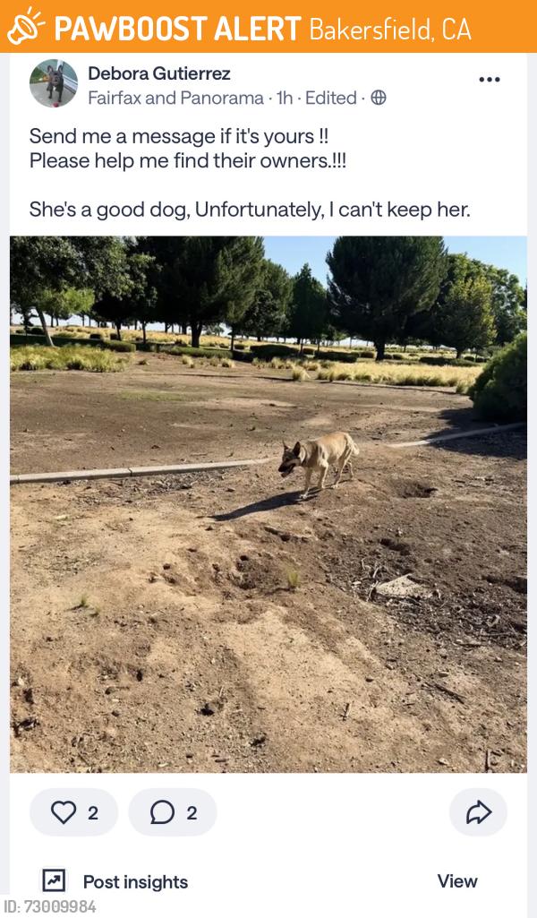Found/Stray Female Dog last seen panorama park, Bakersfield, CA 93305